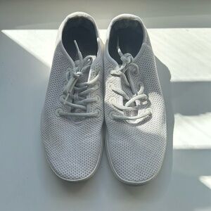 Allbirds Men’s Tree Runners (White)